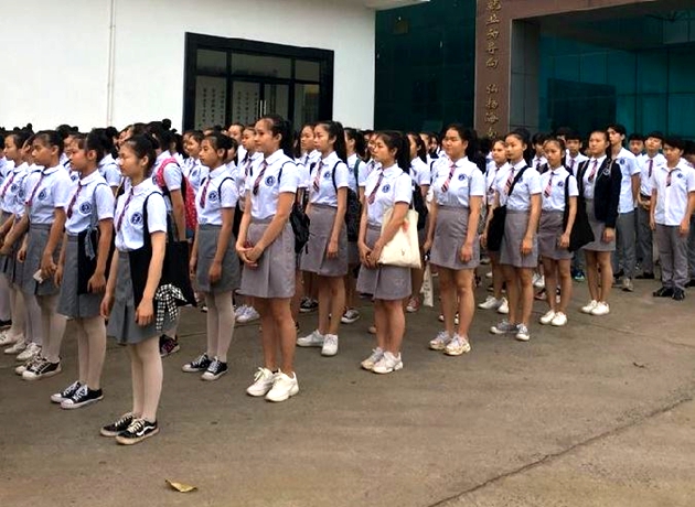 1586255749616147.jpg A.jpg